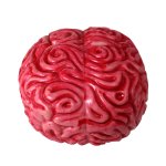Latex Gehirn Halloween Deko/Accessoire für Zombies ca. 15cm