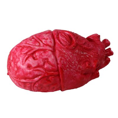 Horror-Set aus Gehirn, Hand, Herz  für Halloween Dekorationen