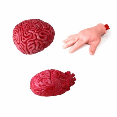 Horror-Set aus Gehirn, Hand, Herz  für Halloween...